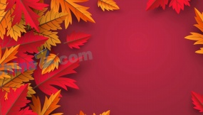 矢量枫叶背景图素材